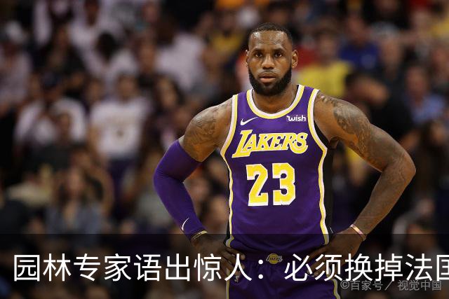 园林专家语出惊人：必须换掉法国梧桐，有很多中国好树被“雪藏”